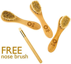 3-Pack Facial Dry Brushes with Bonus Nose Brush