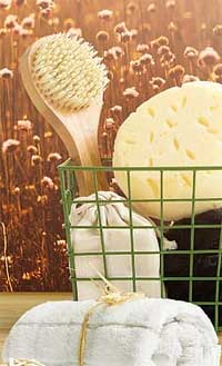 Dry Brush in Basket with Other Toiletries by Shower