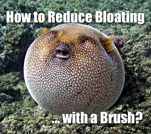 How to Reduce Bloating - with a Dry Brush?