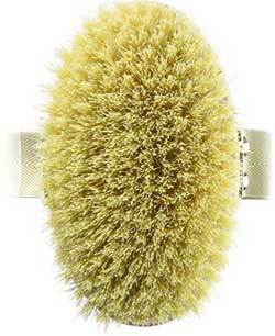 Cheap Handheld Vegan Dry Brush with Cactus Bristles