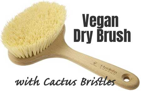 Vegan Dry Brush with Cactus Bristles